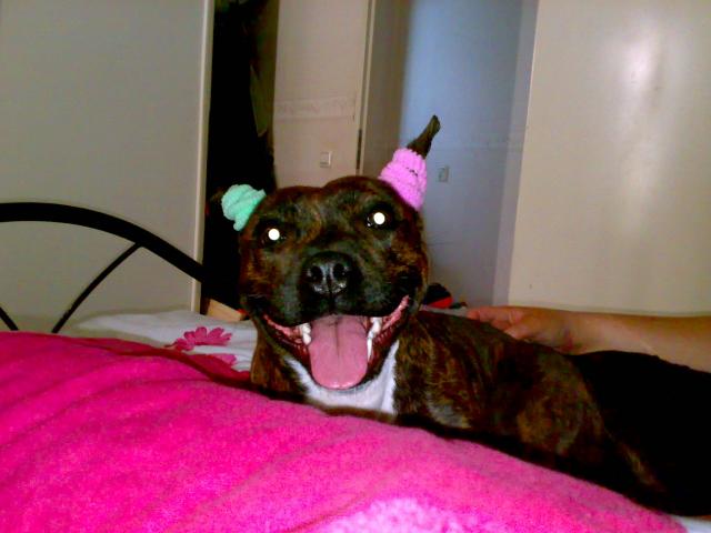 Joy Of The First Po…