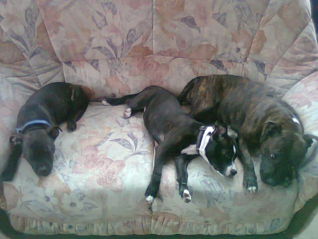 Diablo links Kaya n…