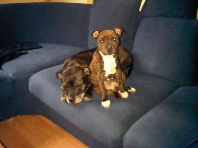 Diva (voor) ook een…