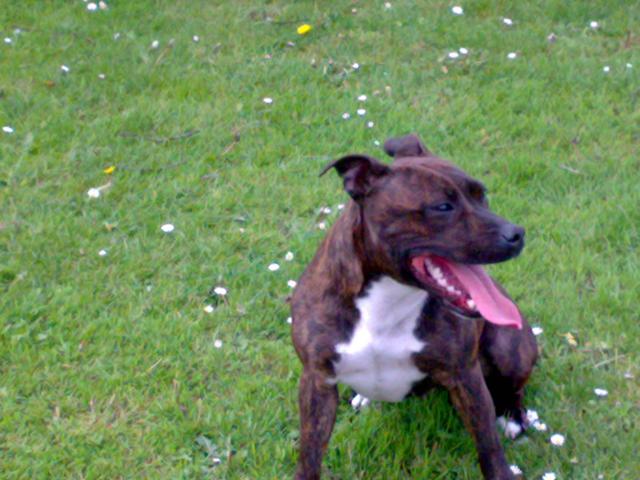 Mama Joy Of The Fir…